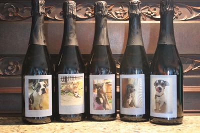 Pets, Photos, Picture - No Animal Left Behind - Marseilles, Illinois